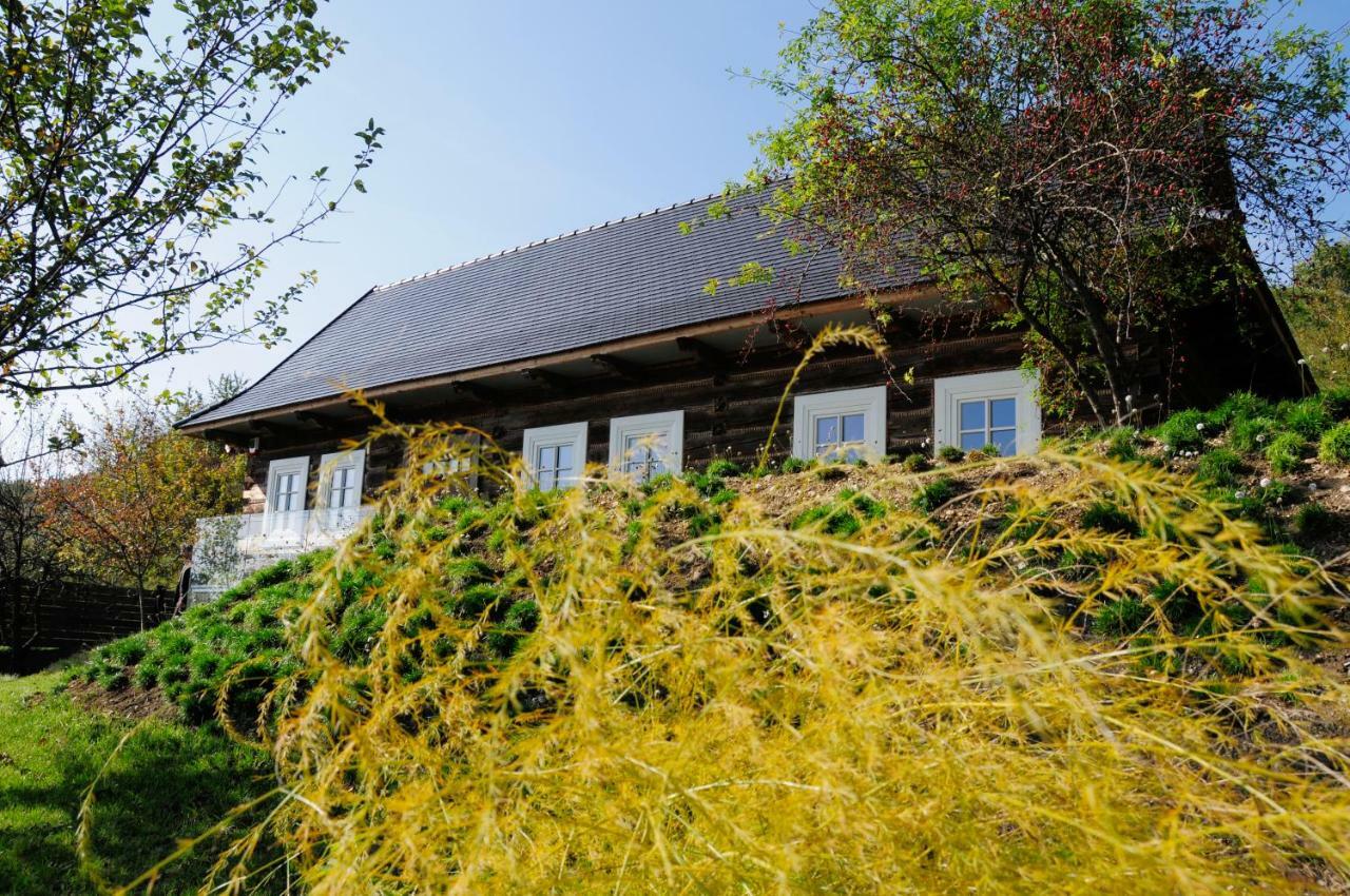 Kacza - Z Jacuzzi Villaer Krasków